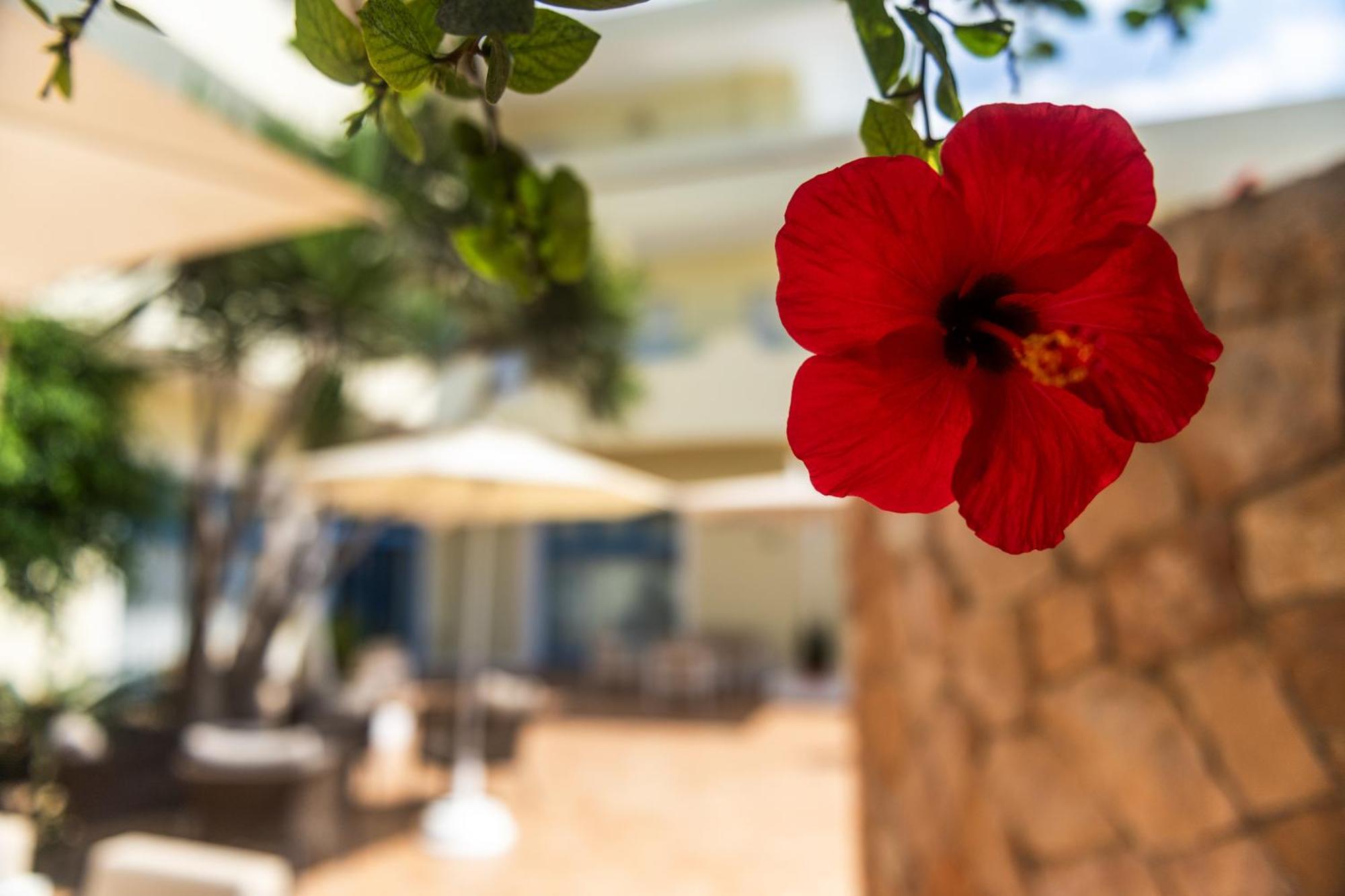 LMP Hotel Baia Turchese מראה חיצוני תמונה